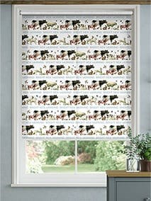 Bright New Morning Multi Roller Blind thumbnail image