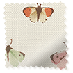 Butterflies Multi Roman Blind swatch image