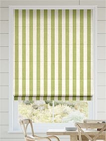 Dartmouth Fern Roman Blind thumbnail image