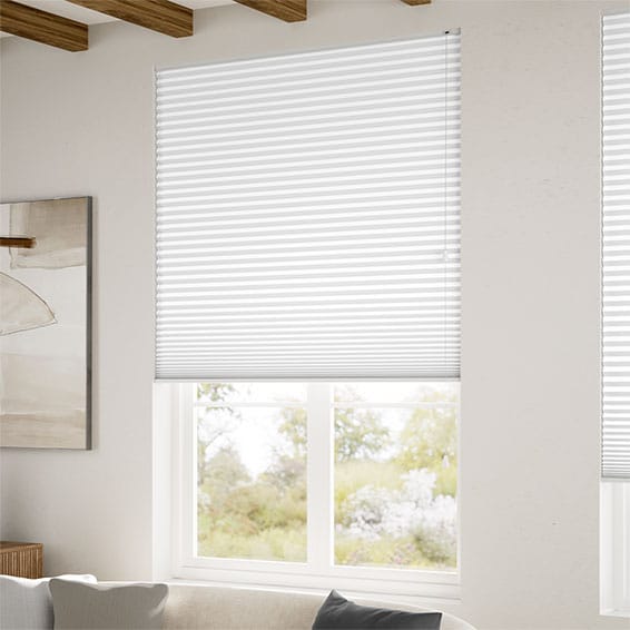 Double Thermal DuoShade Moonstone Pleated Blind | Blinds Online™