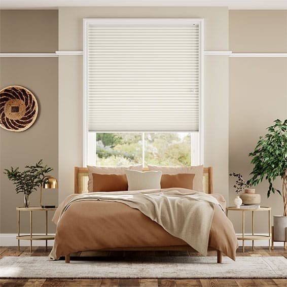 Double Thermal DuoShade Ivory Pleated Blind