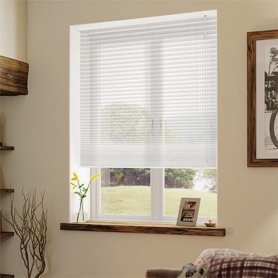 Thermal DuoSheer Snow Pleated Blind | Blinds Online™