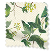 Ivy Green Roman Blind swatch image