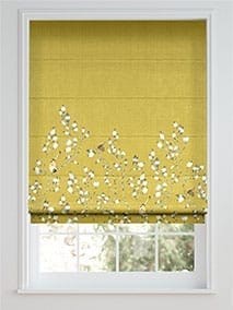 Iyanu Border Linden Roman Blind thumbnail image