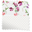 Double Roller Sweet Pea Pink Double Roller Blind swatch image